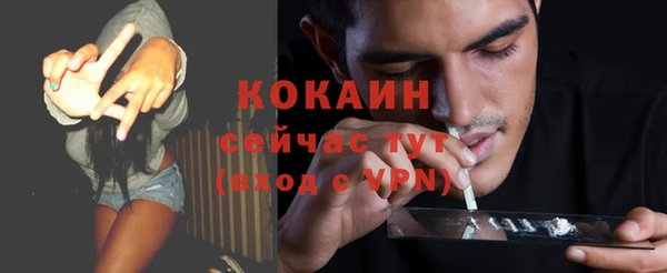 прущие грибы Куйбышев