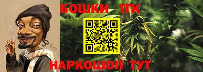 стаф Ливны