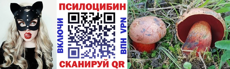 Галлюциногенные грибы ЛСД  KRAKEN маркетплейс  Фрязино 