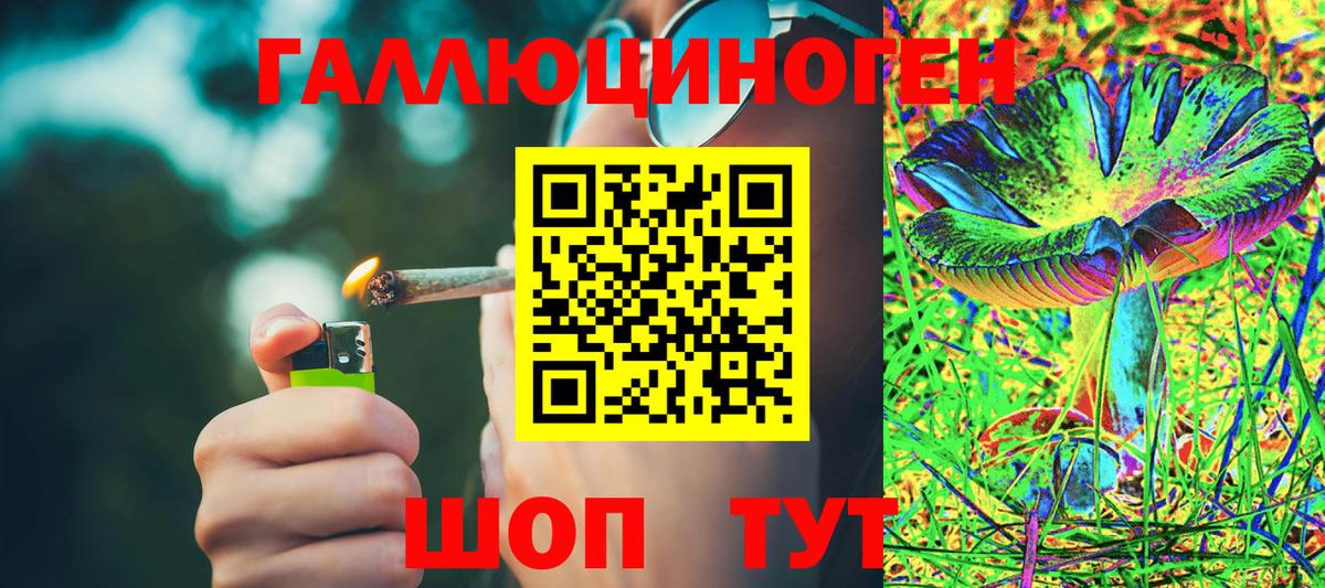 Псилоцибиновые грибы Psilocybine cubensis Фрязино