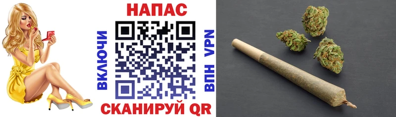 купить   Фрязино  Канабис VHQ 